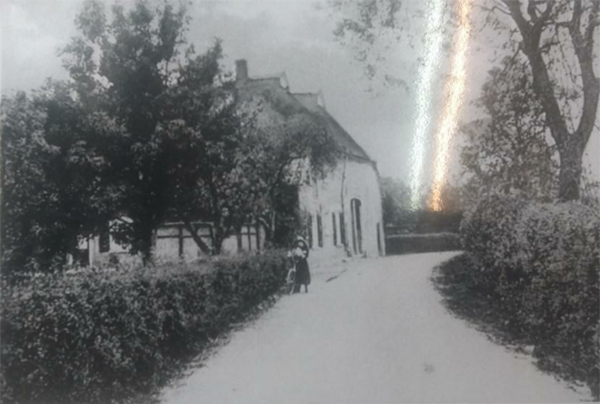 Bijgaande foto laat zien hoe de Rageboom er rond het jaar 1900 nog uitzag.
